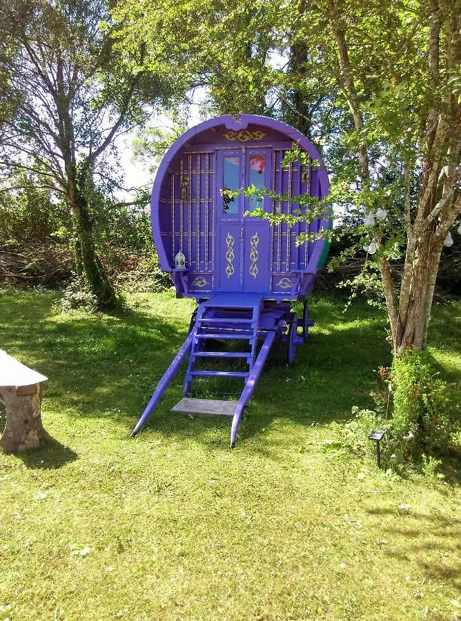 Kittys Cosy Camping Hotel Galway 0*,