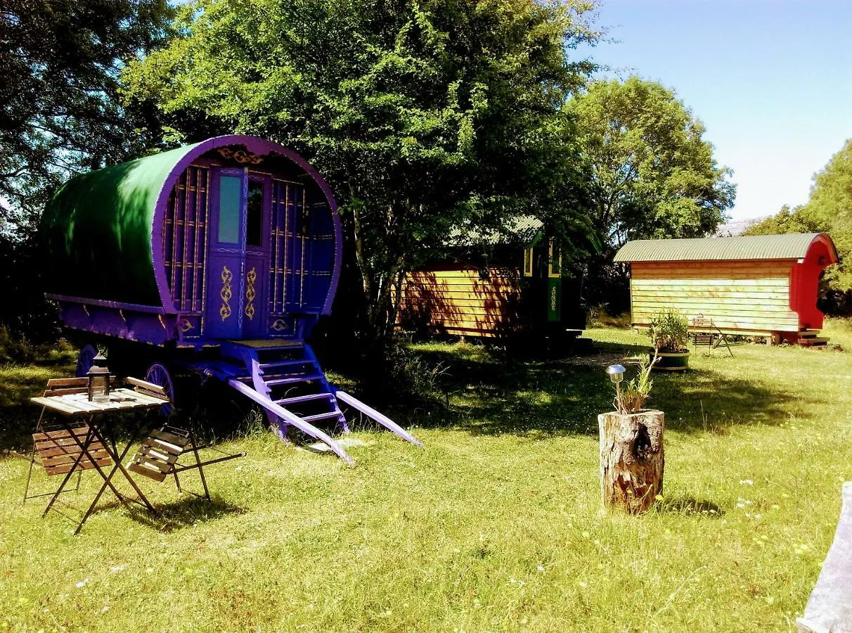 Campsite Kittys Cosy Camping Hotel Galway Ireland